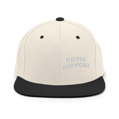 Snapback Hat - Image 20