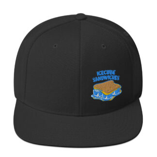 Snapback Hat