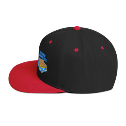 Snapback Hat - Image 11