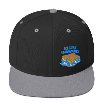 Snapback Hat - Image 21
