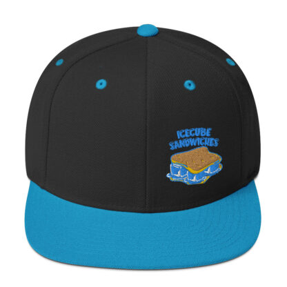 Snapback Hat - Image 17