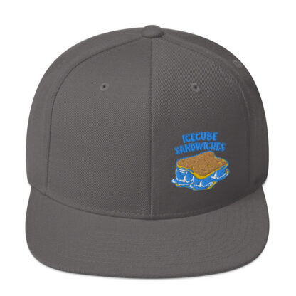 Snapback Hat - Image 53