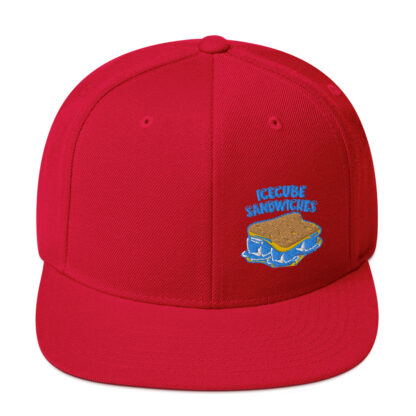 Snapback Hat - Image 45