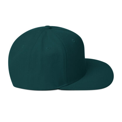 Snapback Hat - Image 44